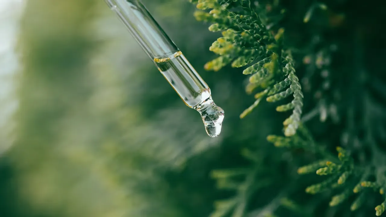 Dofternas kraft för välbefinnande